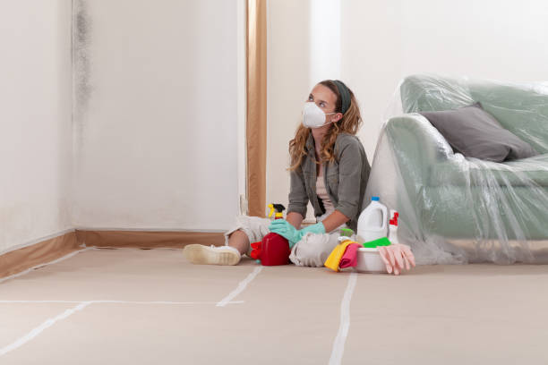 Reliable Basement Mold Removal contractor in Tyrone, PA by WQB Mold Removal